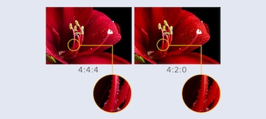 Изображение 5.2-канальный AV-ресивер для домашнего кинотеатра | STR-DH590